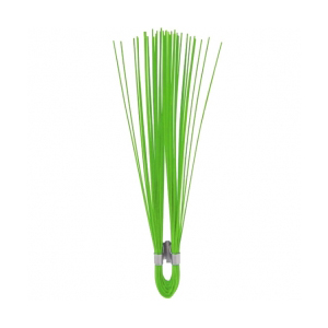 GREEN STAKE CHASERS