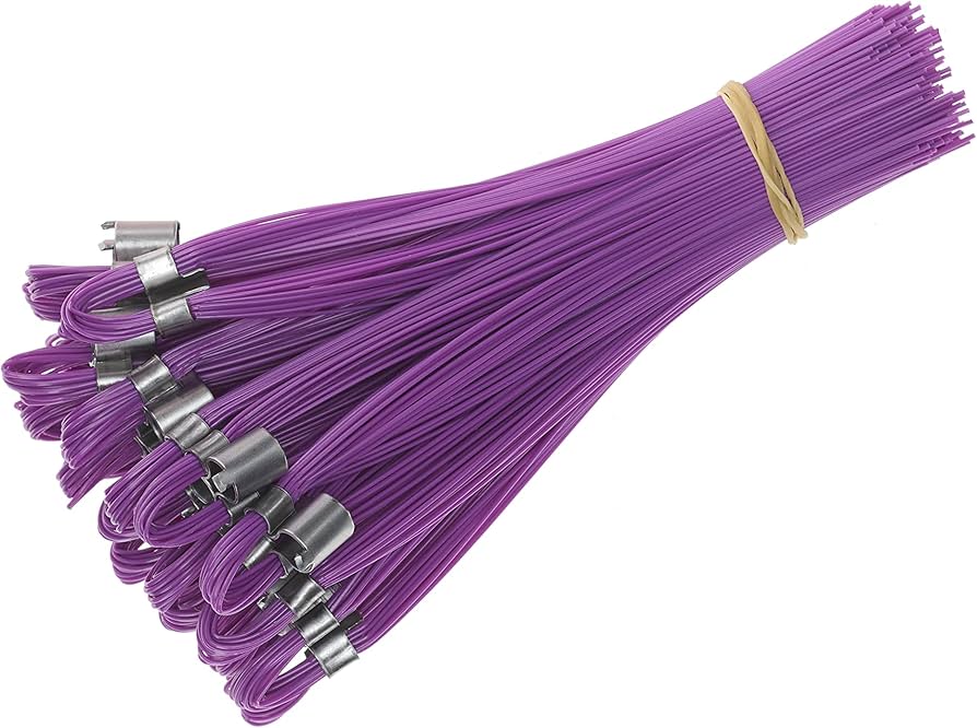 Stake Chasers - PURPLE