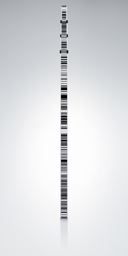 757761 GTL4M 4m Fiberglass Level Rod - Barcode & mm