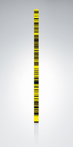 [1-101198] 563733 GWCL60 Invar Code Scale